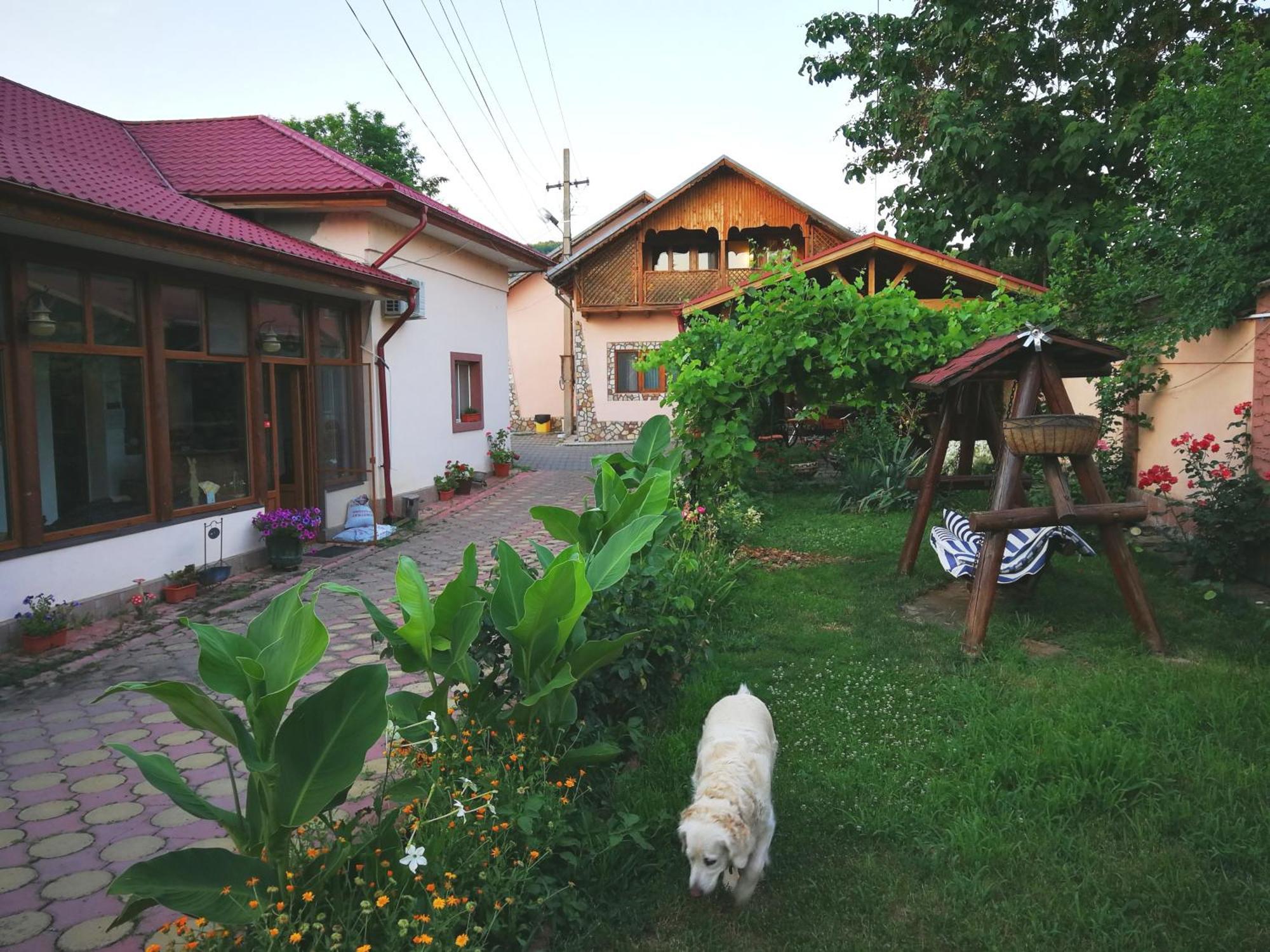 Vila Speranta Plescoi Luaran gambar